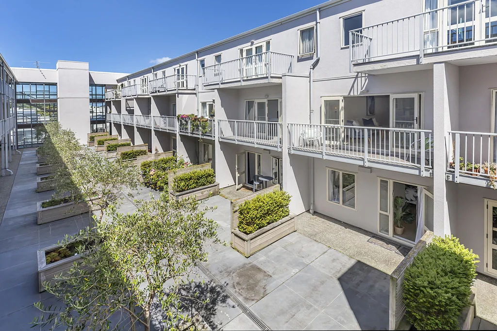 Berhampore 2Moenga Instructions Are Clear – This Must Be Sold!