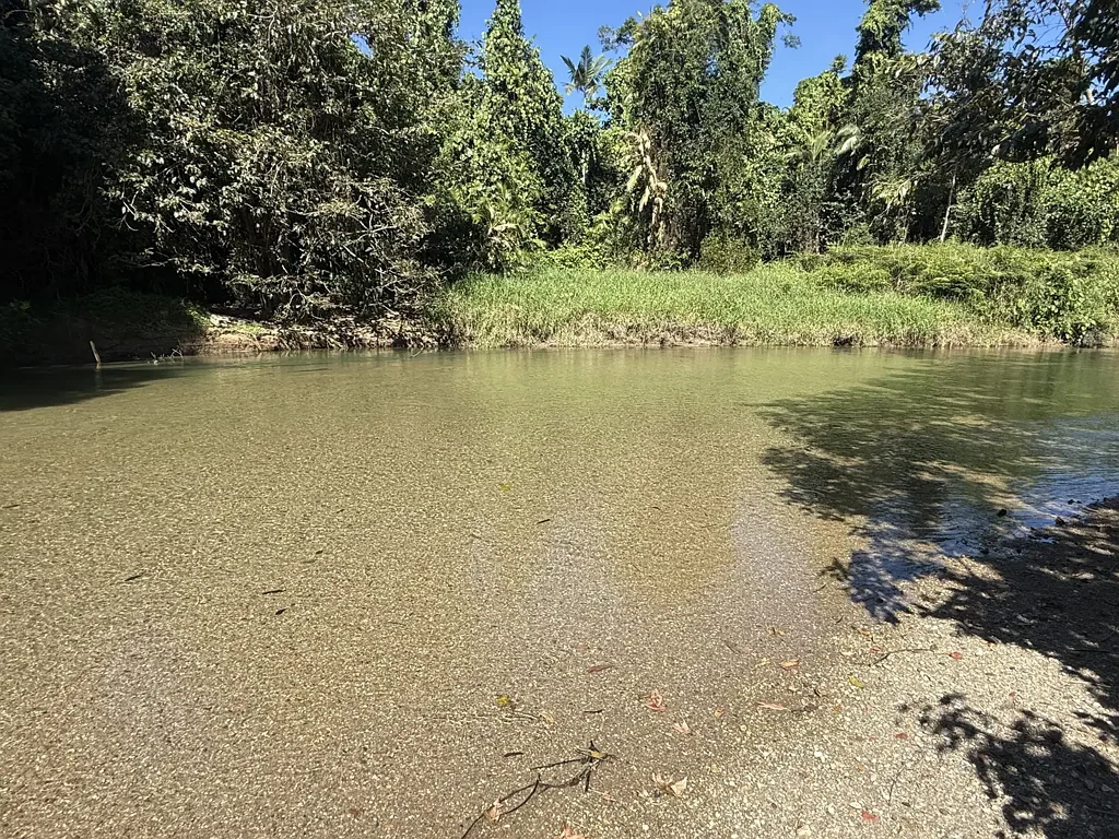 No 4 Branch Permanent creek frontage Cattle property near Silkwood with Cattle, Equipment, Water Bore