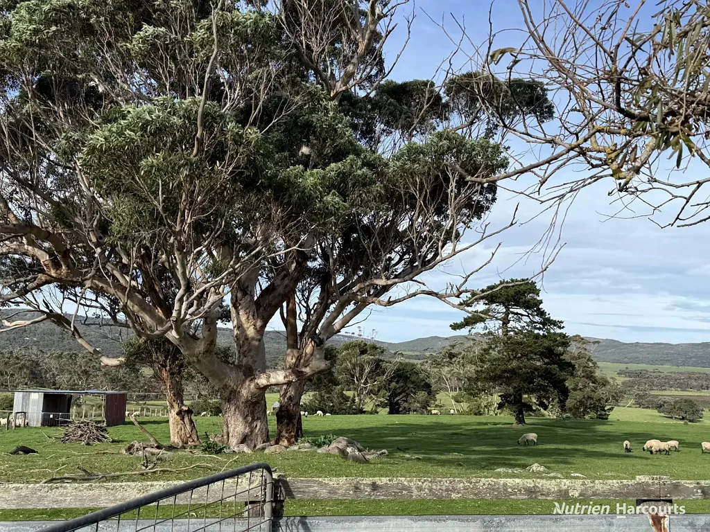 24 Cook Road, Bornholm, WA 6330