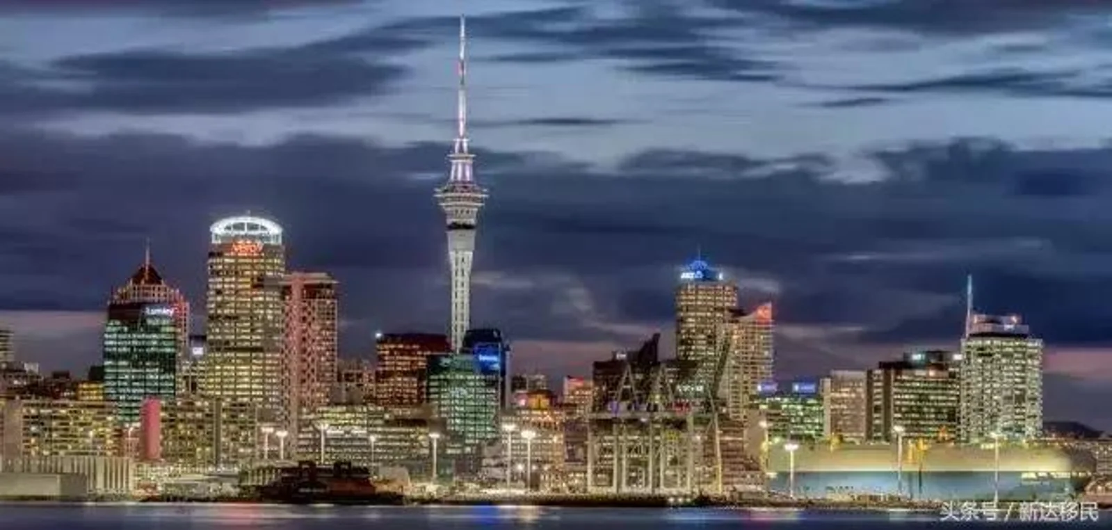 @所有投资者，2019在新西兰经商有5大风险，这些你一定要知道！
