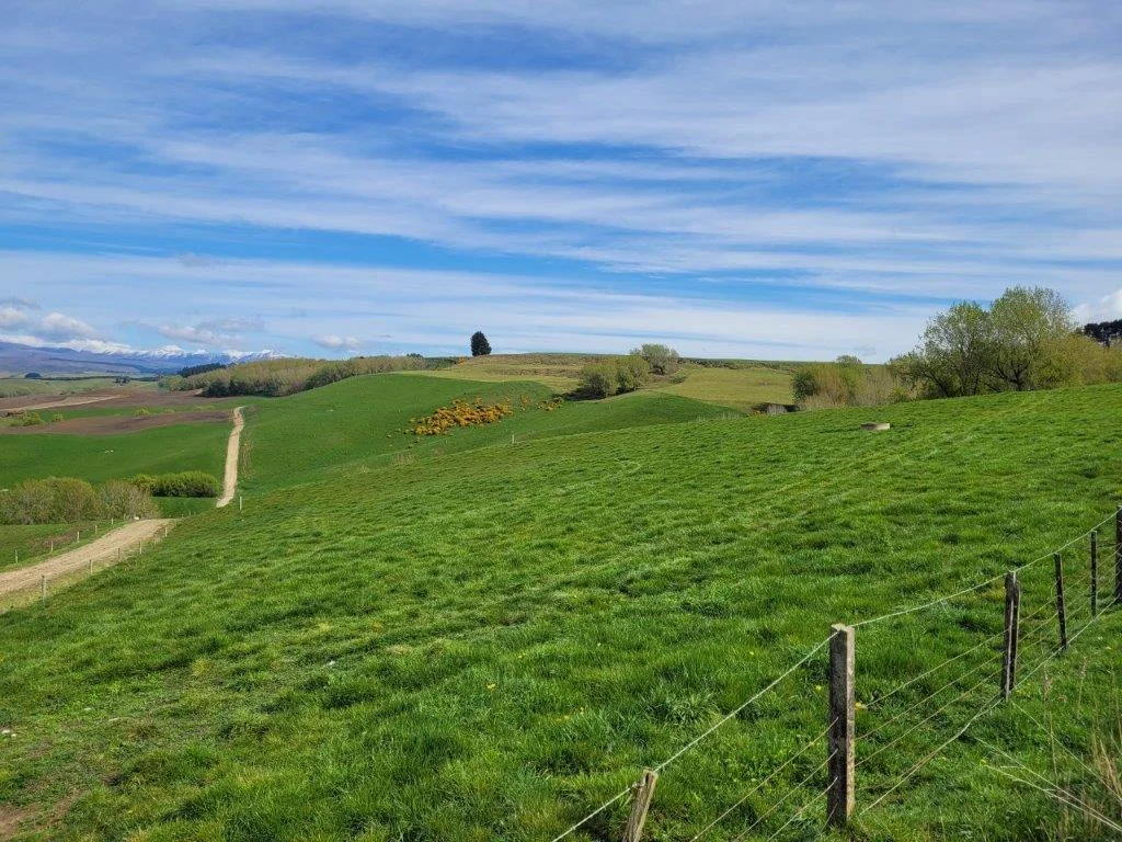 Duntroon  Under Offer-Dairy Support-Finishing-Irrigation