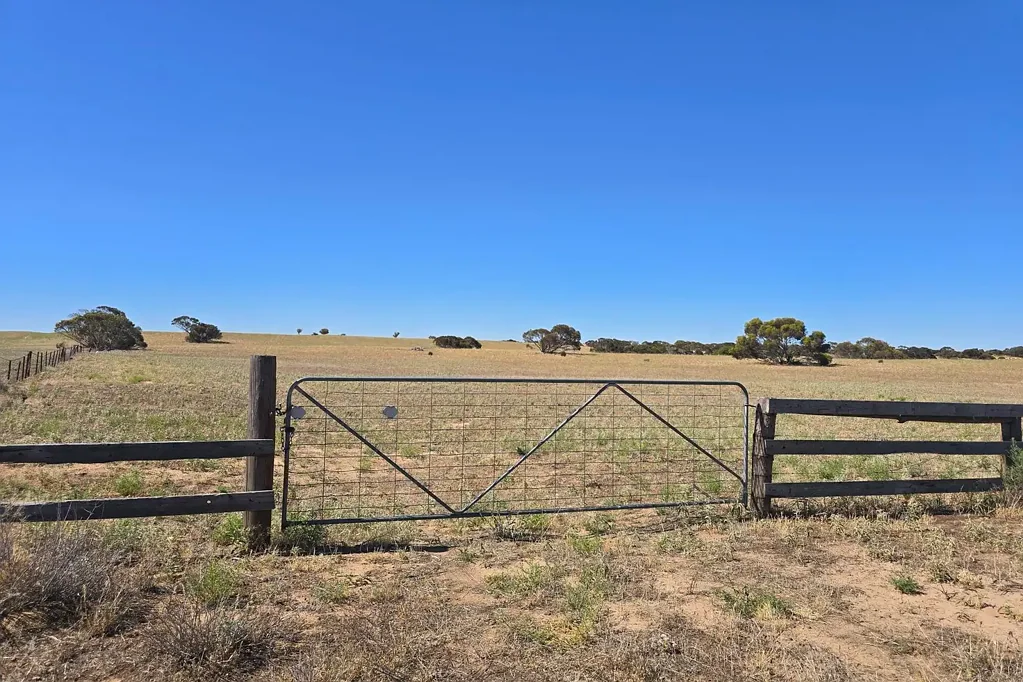 Lot 23 Billiatt Road, Lameroo, SA 5302