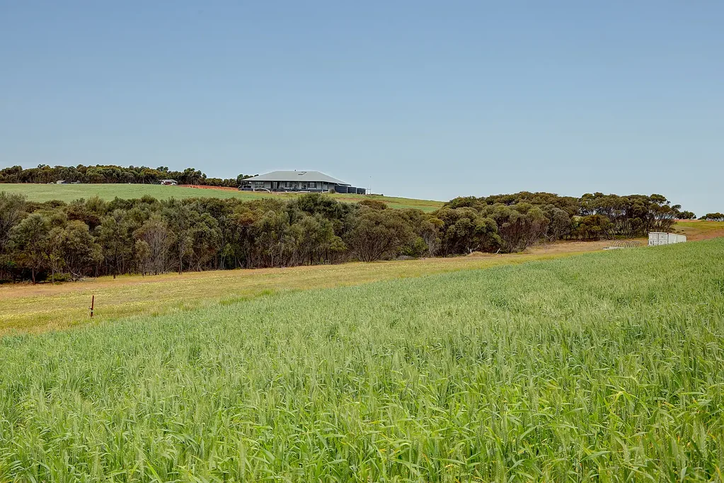 Whites Flat Magnificent Rural Lifestyle Retreat with Productive Land