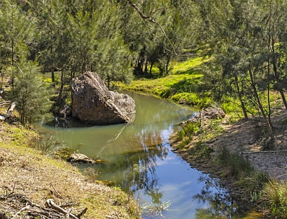  Lot 164 Voll Road, Emu Creek, Darling Downs, 0房, 0浴, Section