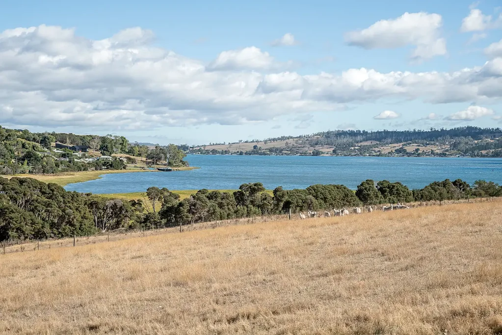 49 Ridge Road, Legana, TAS 7277