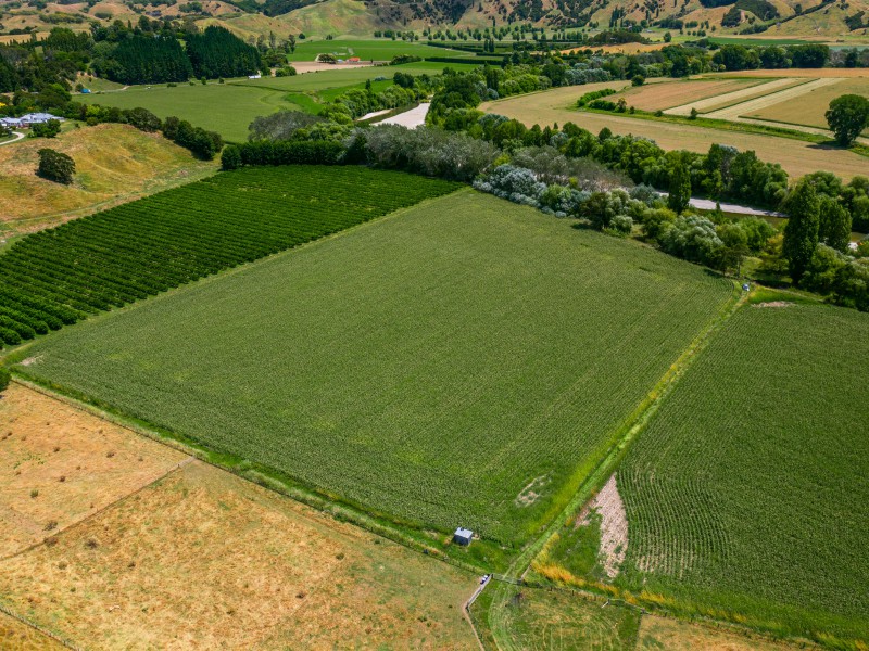 Poynter Road, Te Karaka, Gisborne, 0 chambres, 0 salles de bain