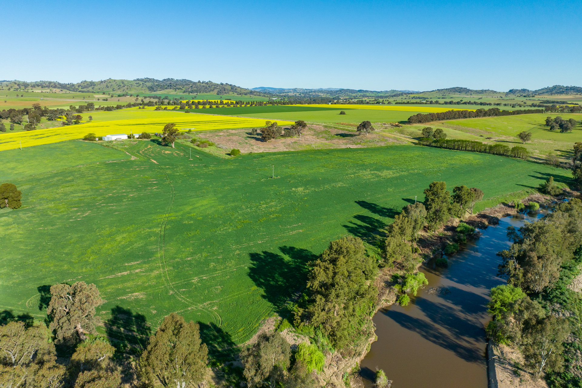 1 CUDGELO LANE, COWRA NSW 2794, 0房, 0浴, Lifestyle Property