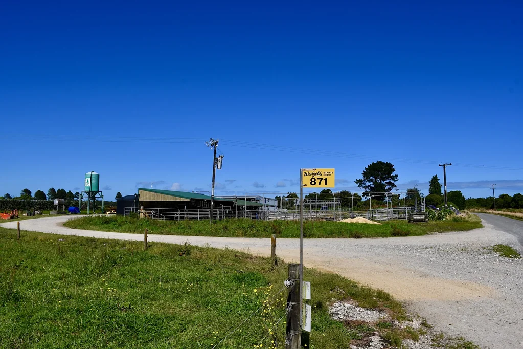 Karamea  Karamea Dairy – Strong Production & Infrastructure