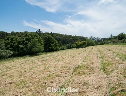 1a Black Hill Road, Menzies Creek, VIC 3159, 0房, 0浴, 建地