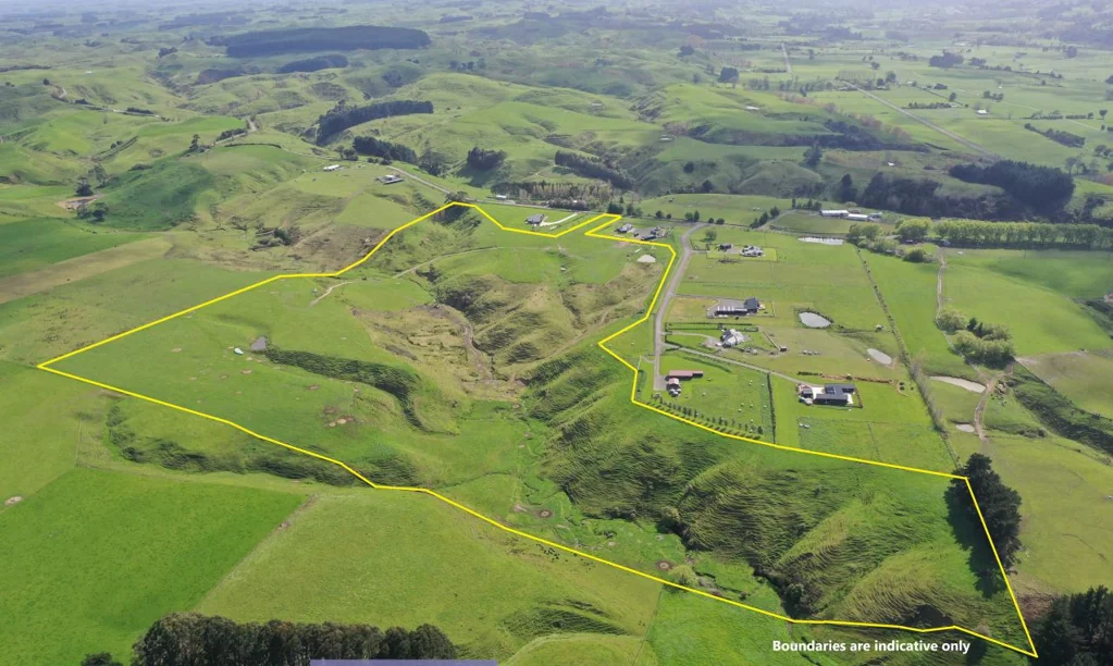 Ashhurst 20 hectares of grazing land