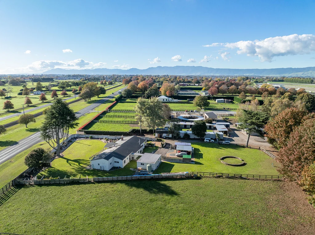 Matamata Lifestyle living on the cusp of town