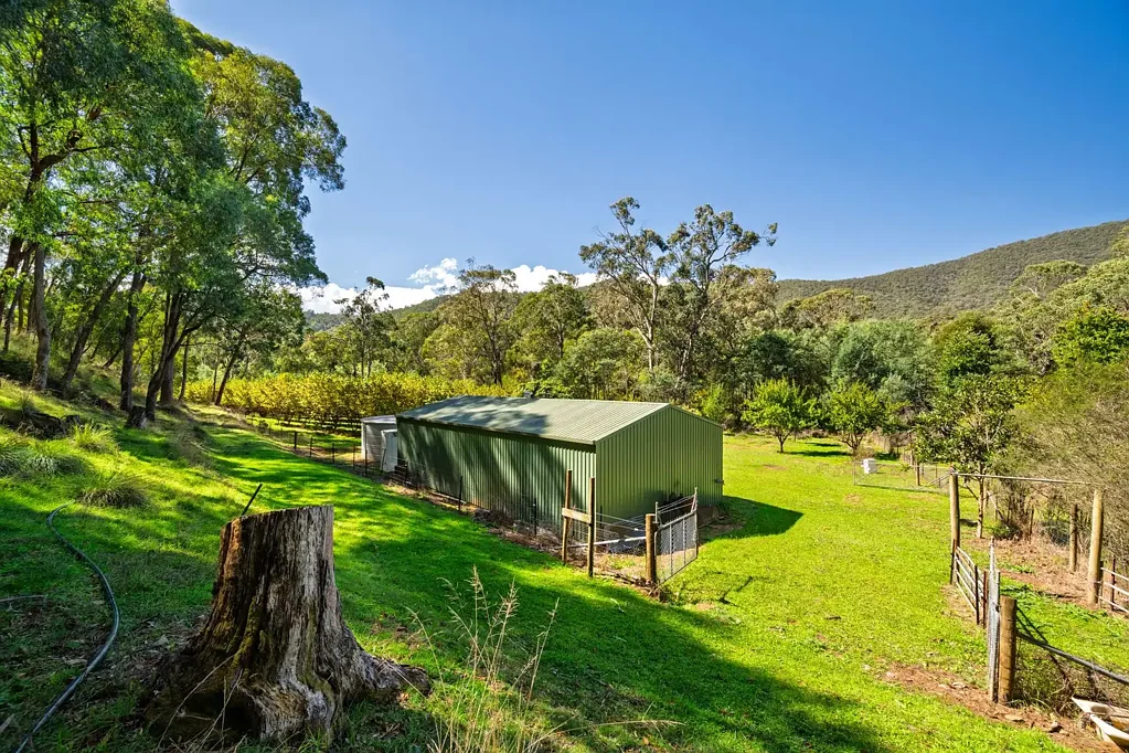 Wandiligong Creekside Lifestyle Block with Income Potential & Endless Adventure