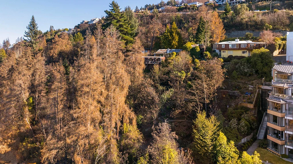 317 Frankton Road, Queenstown, Central Otago / Lakes District