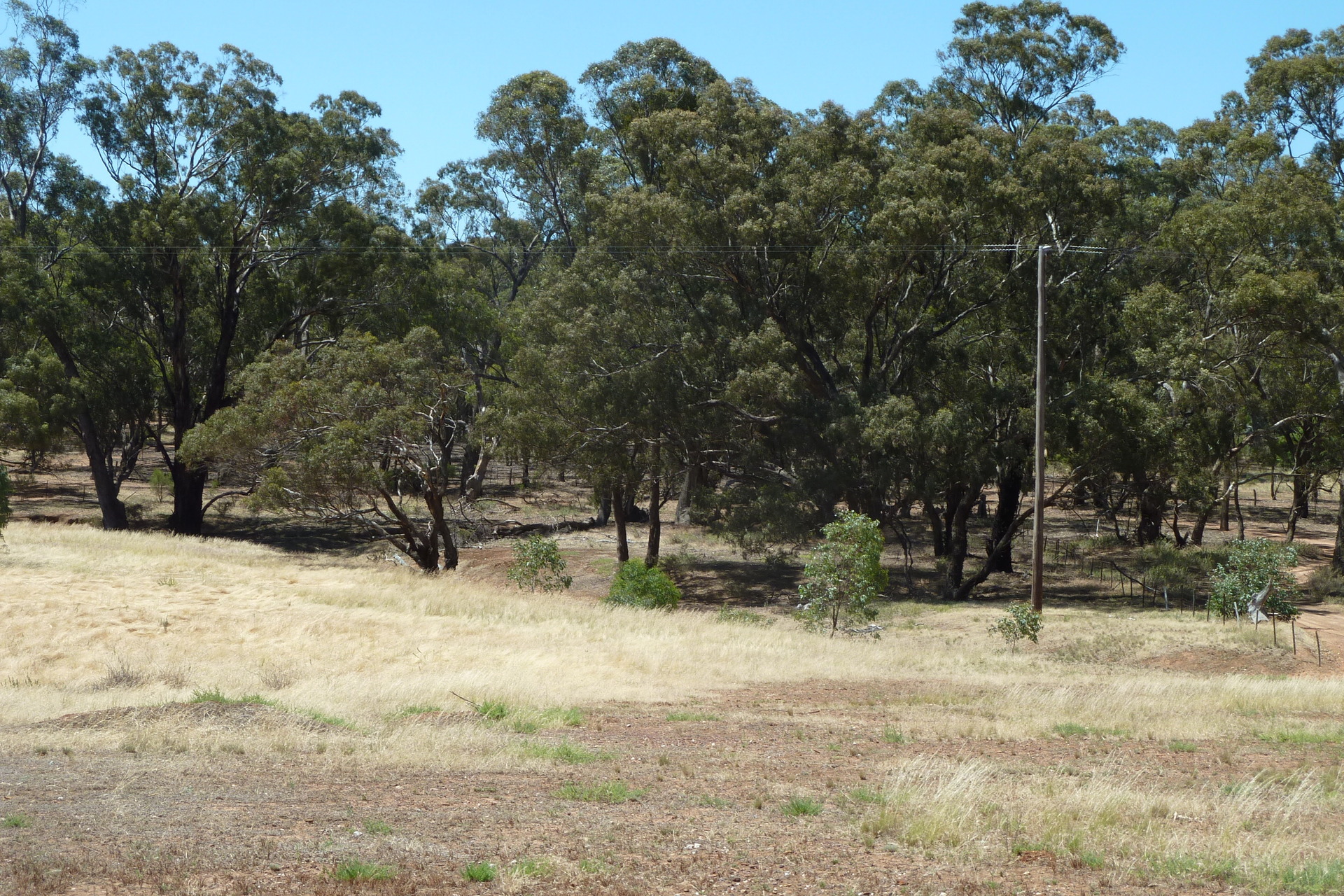 33 WEDDERBURN-BRENANAH RD, WEDDERBURN VIC 3518, 0 Schlafzimmer, 0 Badezimmer, Lifestyle Property