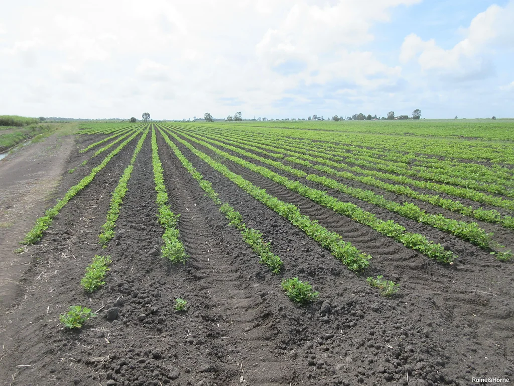 Moore Park Beach FARMING LAND CLOSE TO TOWN OR BEACH