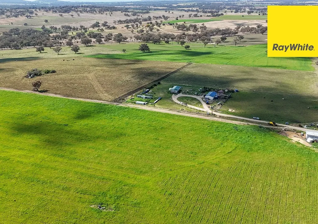 Inverell 'Highly productive Delungra Property!'