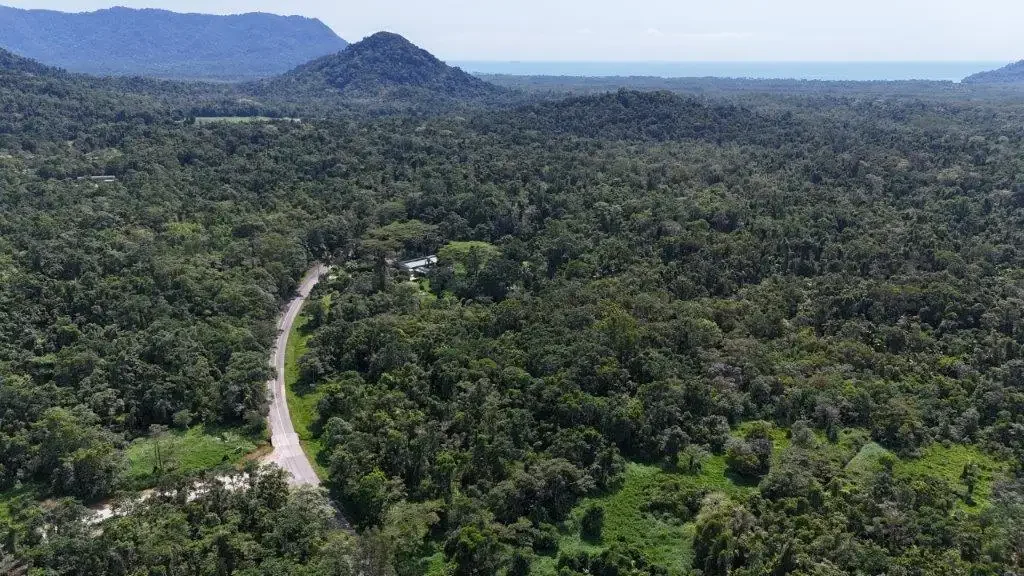 Daintree  20 ACRES OF RAINFOREST NATURE