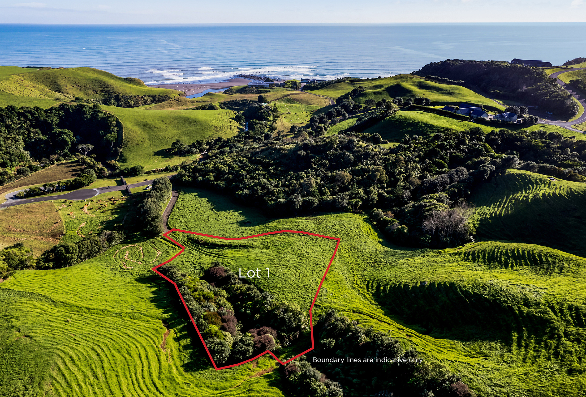 1 Washer Road, Omata, New Plymouth, 0房, 0浴, Lifestyle Section