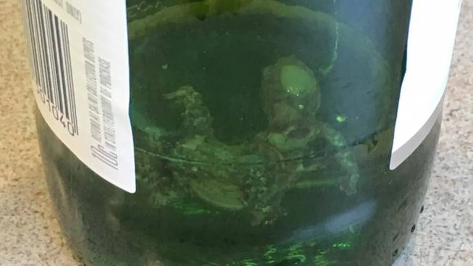 啤酒里喝出“腐烂蜥蜴”，基督城女子直呼恶心：整个人都不好了！