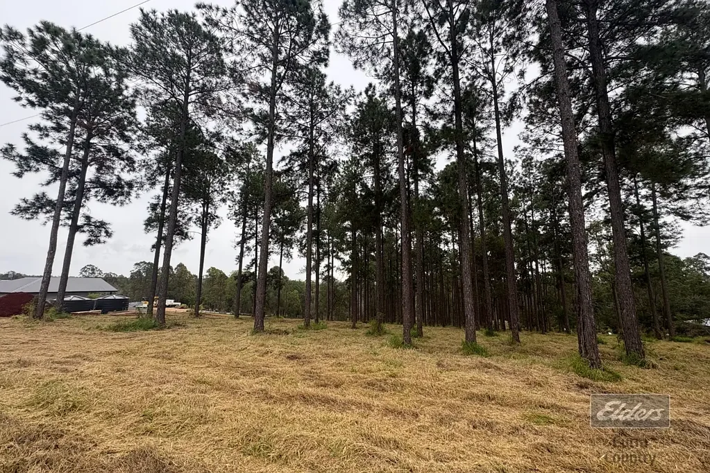 Lot 325 Arbornine Road, Glenwood, QLD 4570