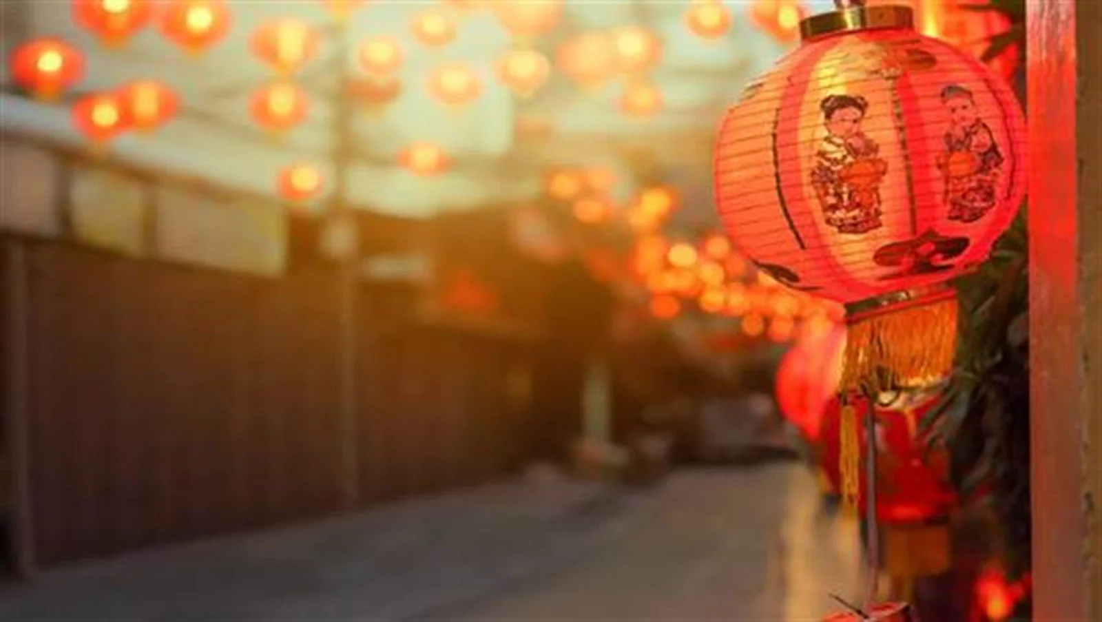 今晚，我们共同在新西兰喜迎新春！后花园恭祝大家春节快乐！