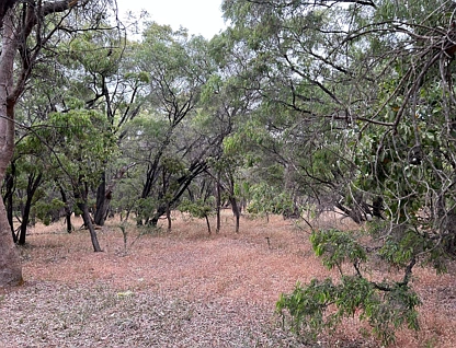 Lot 4 Moore Road, Dardanup West, Bunbury, 0 침실, 0 욕실, Lifestyle Property