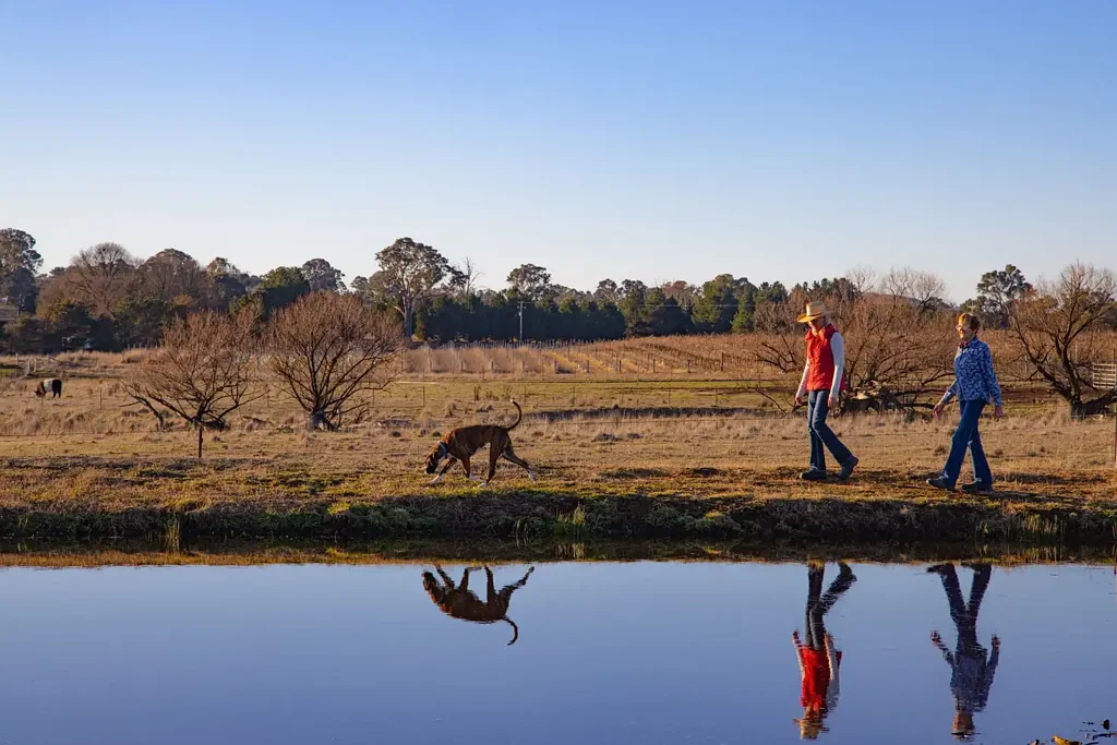 'Bluebell Park' 15 Bluebell Lane, Murrumbateman, NSW 2582
