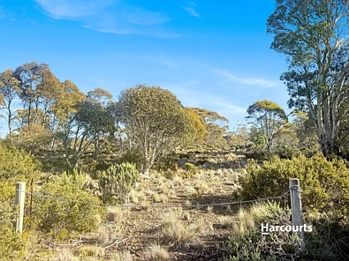 55 Fleming Drive, Miena, TAS 7030, 0 slaapkamers, 0 badkamers, Section
