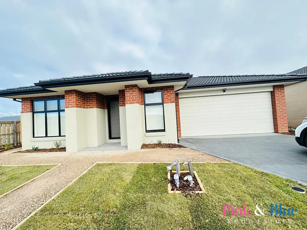 Stunning & Beautiful 4 Bedroom Family Home for Rent!