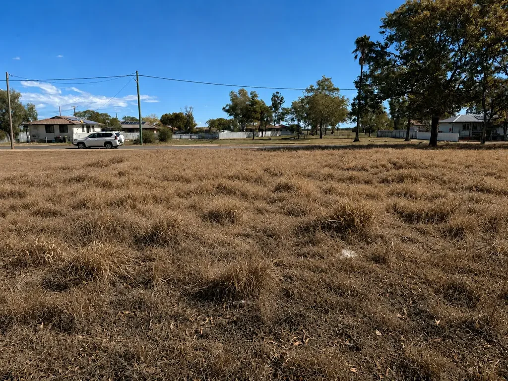 20 Arunga Street, Moree, NSW 2400, 0 Bedrooms, 0 Bathrooms, Section