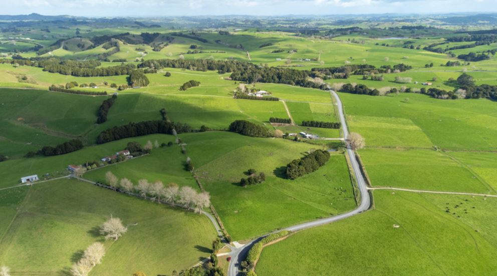 Pool Road, Whangaripo, Auckland - Rodney, 0 Schlafzimmer, 0 Badezimmer, Lifestyle Property