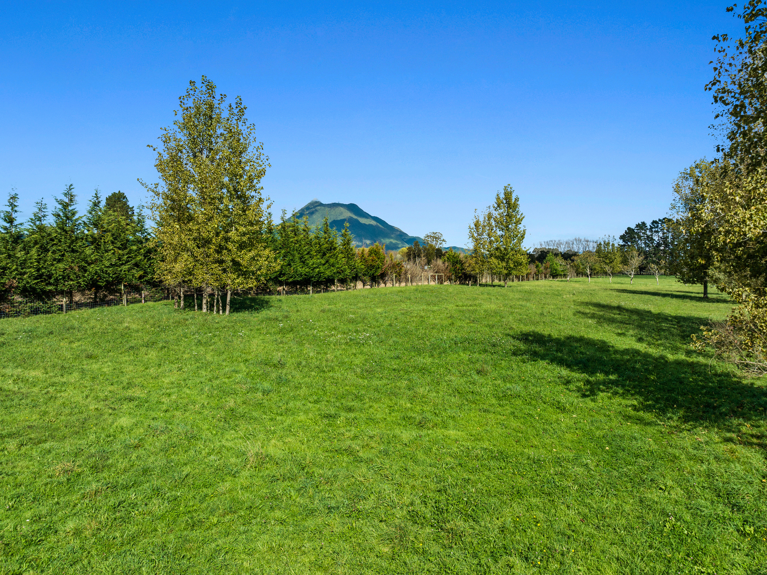 50a Lambert Road, Putauaki, Whakatane, 3房, 0浴, Lifestyle Property