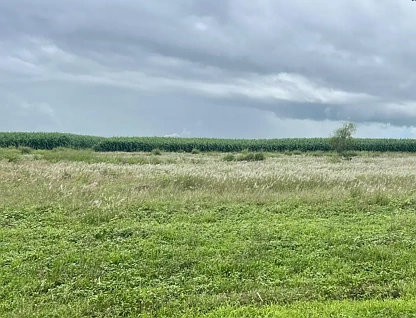 33 Jack Road, Brandon, QLD 4808, 0房, 0浴, Section