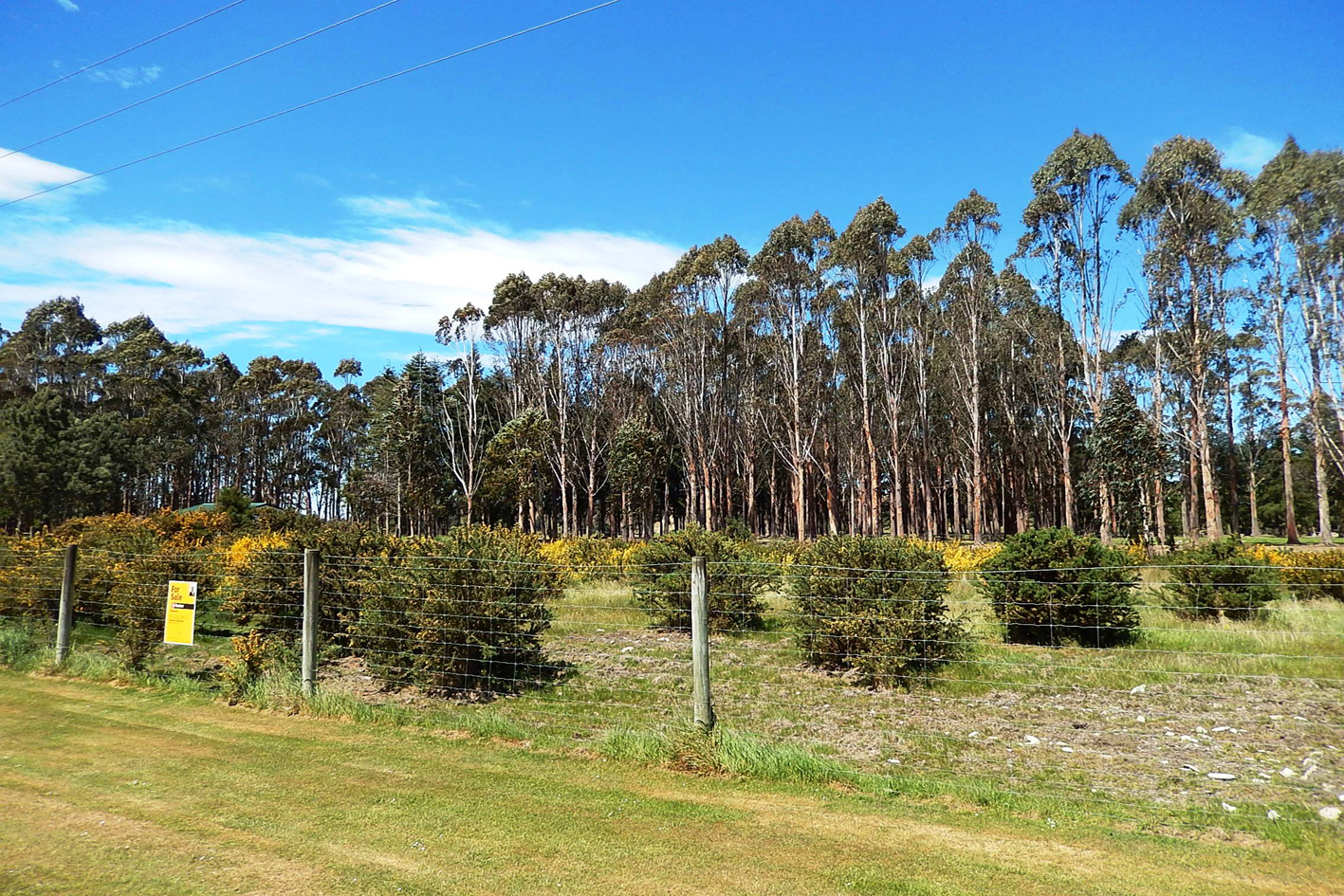 64 Breakneck Road, Herbert, Waitaki, 13房, 0浴