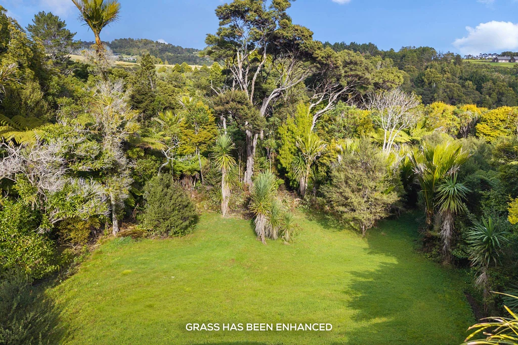 Waitakere  Native Bush + Build Site