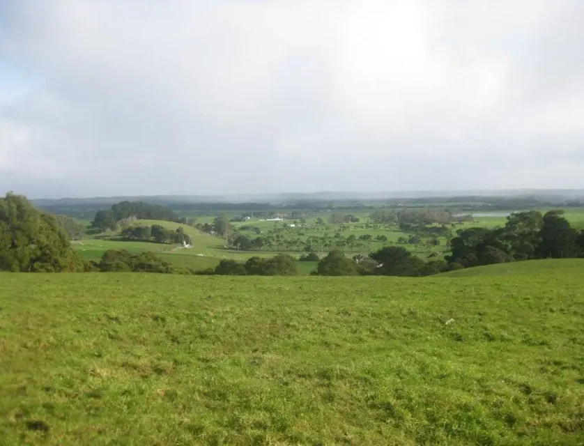 Lot 2 Trowutta Road, Edith Creek, West and North West, 0房, 0浴, Lifestyle Property