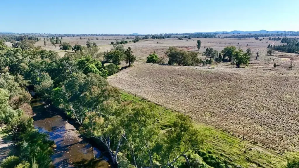 Bingara Renovo, Bingara