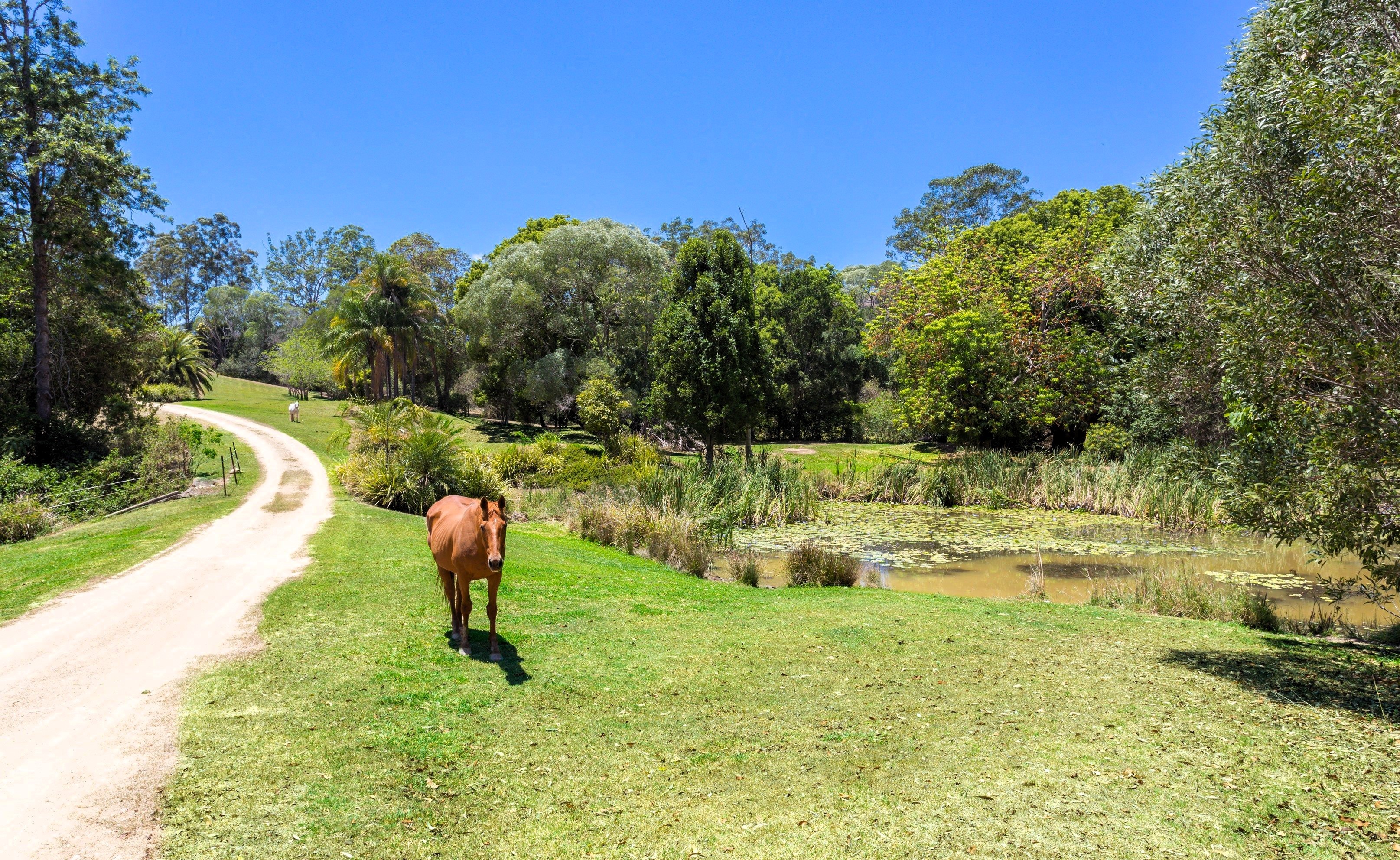 390 SCHREIBERS RD, COORAN QLD 4569, 0房, 0浴, House