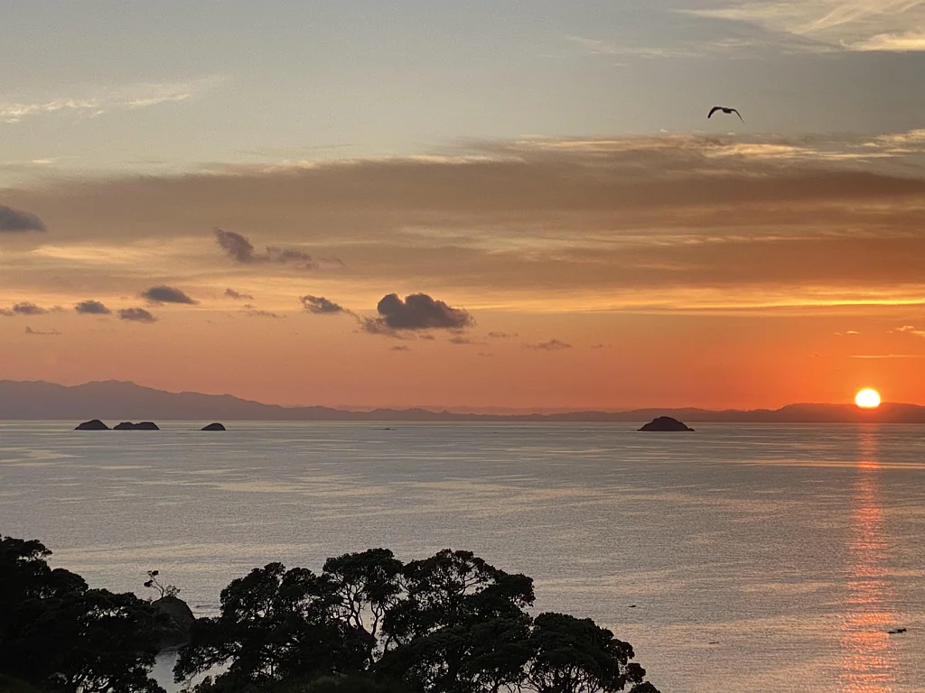 Rakino Island Your Own Piece of Paradise - 2 Hectares of Land