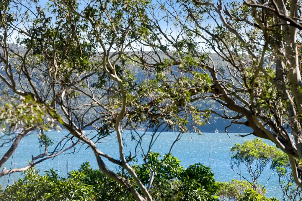 Clareville 3房 Peter Downes设计 生态住宅 原始Pittwater景观 高地西向位置 茂密花园 私密宁静 绿意盎然 Clareville House - Award Winning Pittwater Retreat