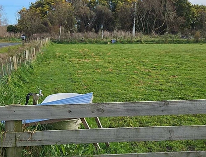 7 Mahua Road, Feilding, Manawatu, 0房, 0浴, Lifestyle Section