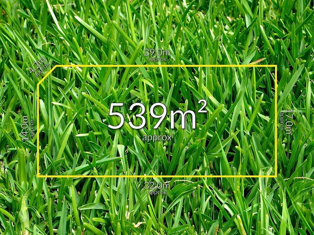 Wollert Position, Potential, & Promise in Prime Wollert