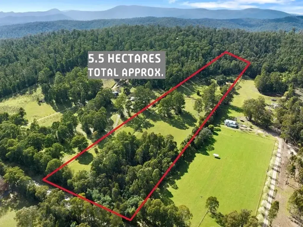 Narbethong BUILDING THE DREAM
