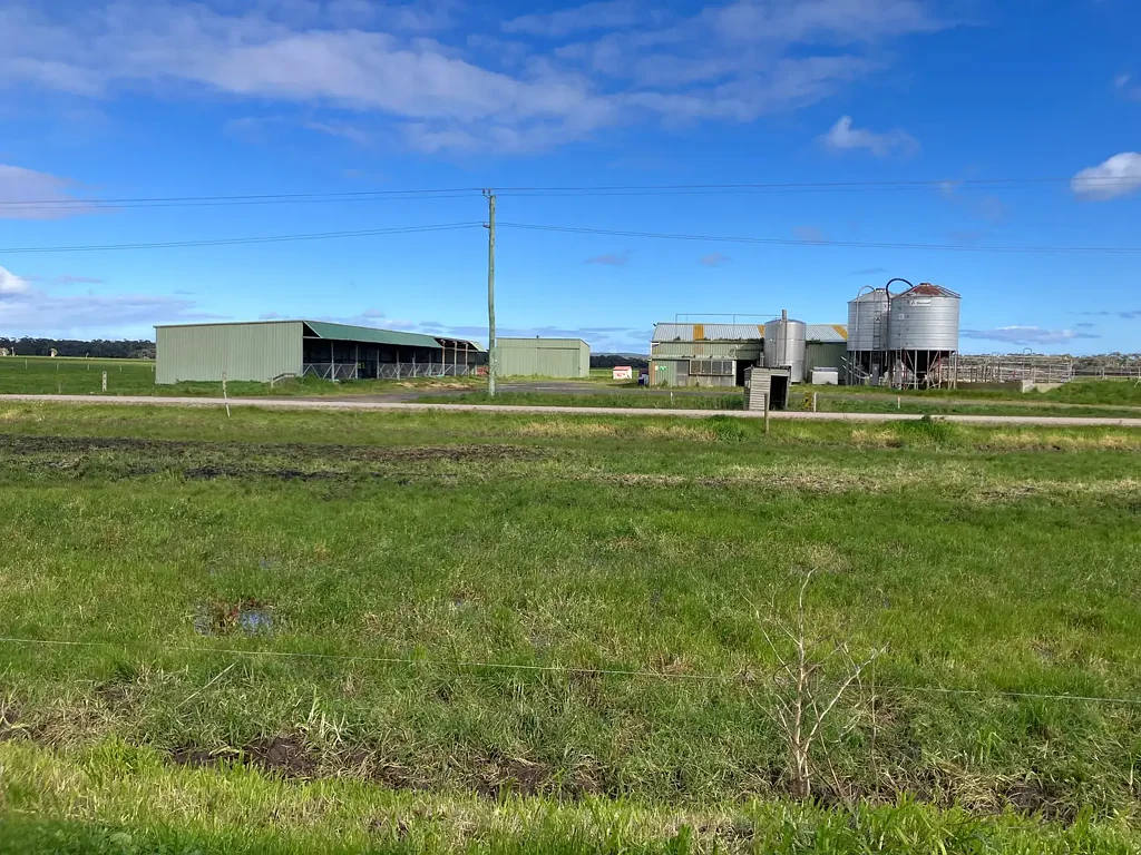 Woolnorth Cygnet Dairy