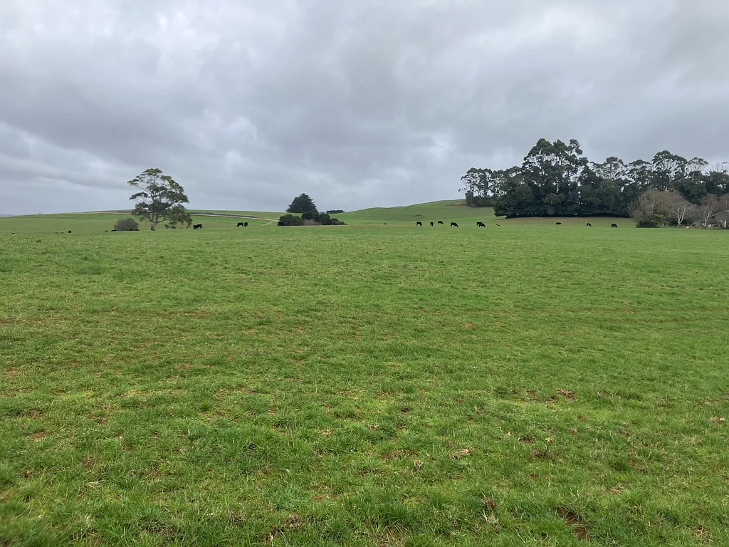 Flowerdale Wynyard Farmlet