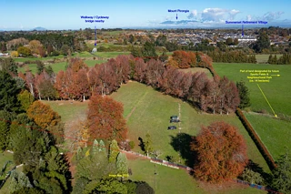 64 Peacockes Lane, Peacocke, Waikato