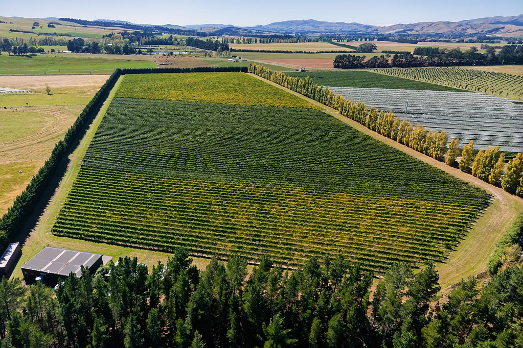 Waipara Waipara Vineyard Lifestyle