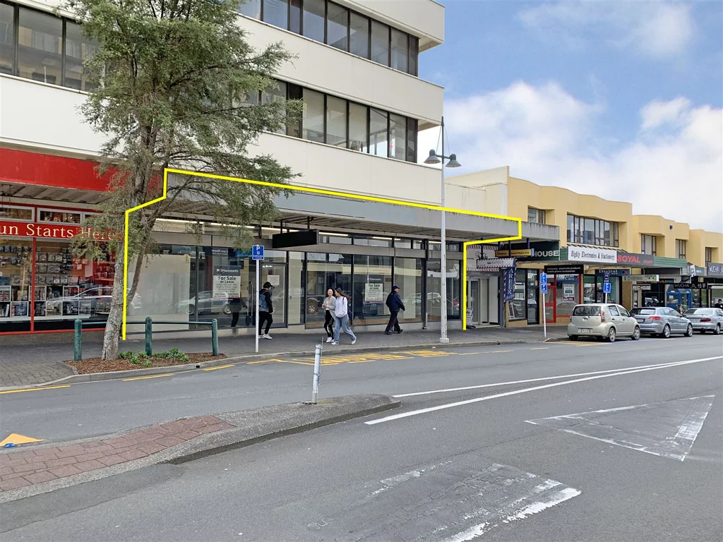 Hamilton Central Owner-Occupier Opportunity