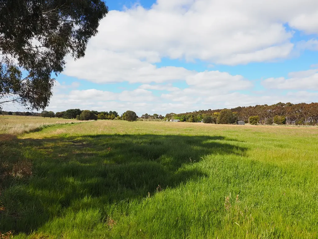 Lismore 2.146HA (5.30 Acres) - Quality Block - Unlimited Lifestyle Potential