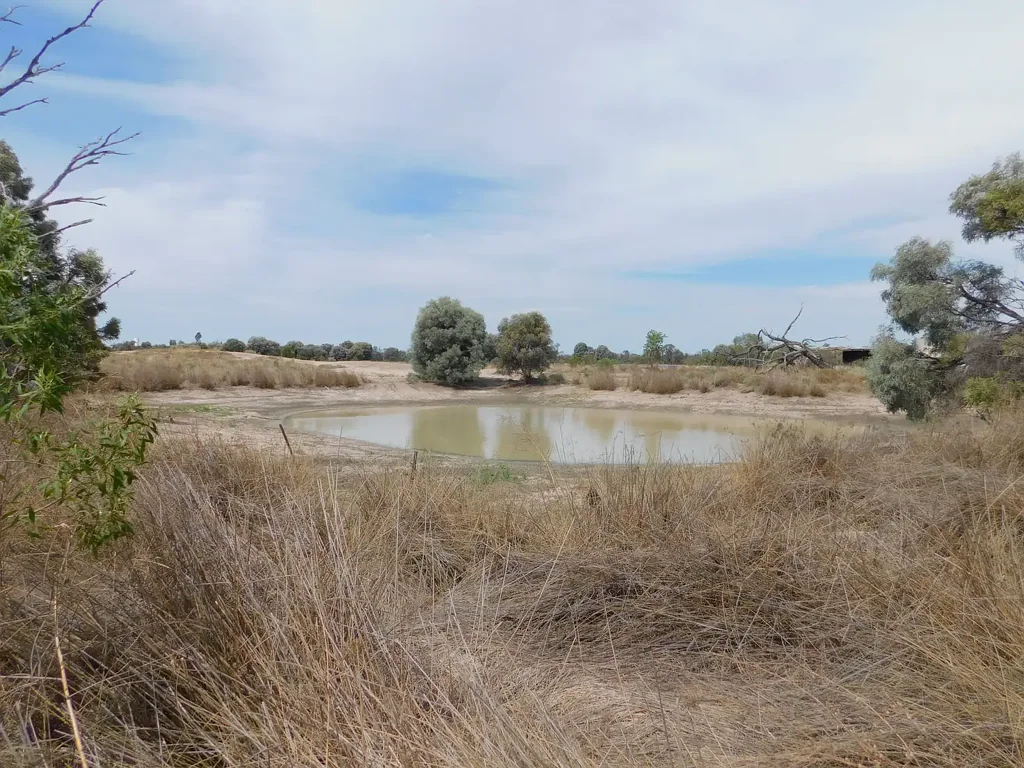 132 - 137 Roaches Road, Tara, QLD 4421